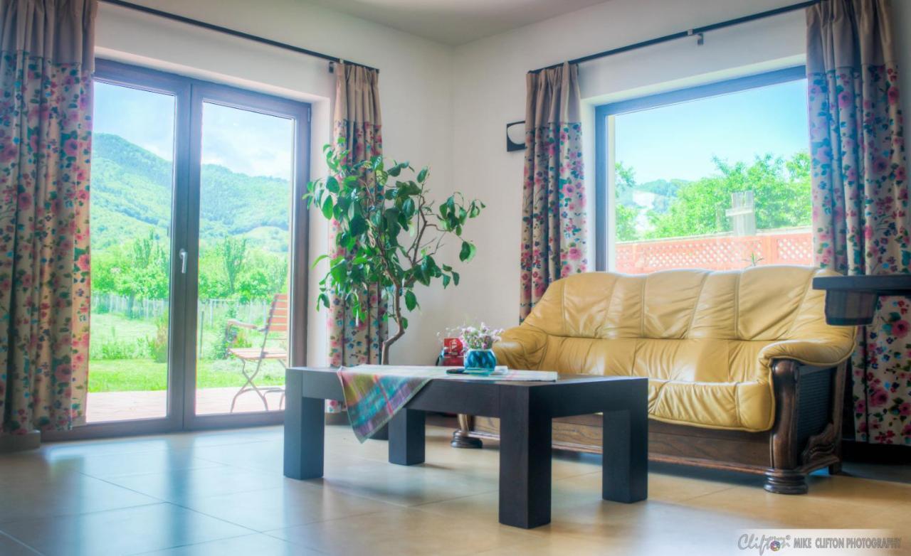 Casa Rudi & Ella Hotel Saliste  Luaran gambar